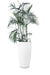 e283044d-c980-4c2e-b1e5-121c08673d3c/Saturn-Large-White-Textured-With-Plant.jpg