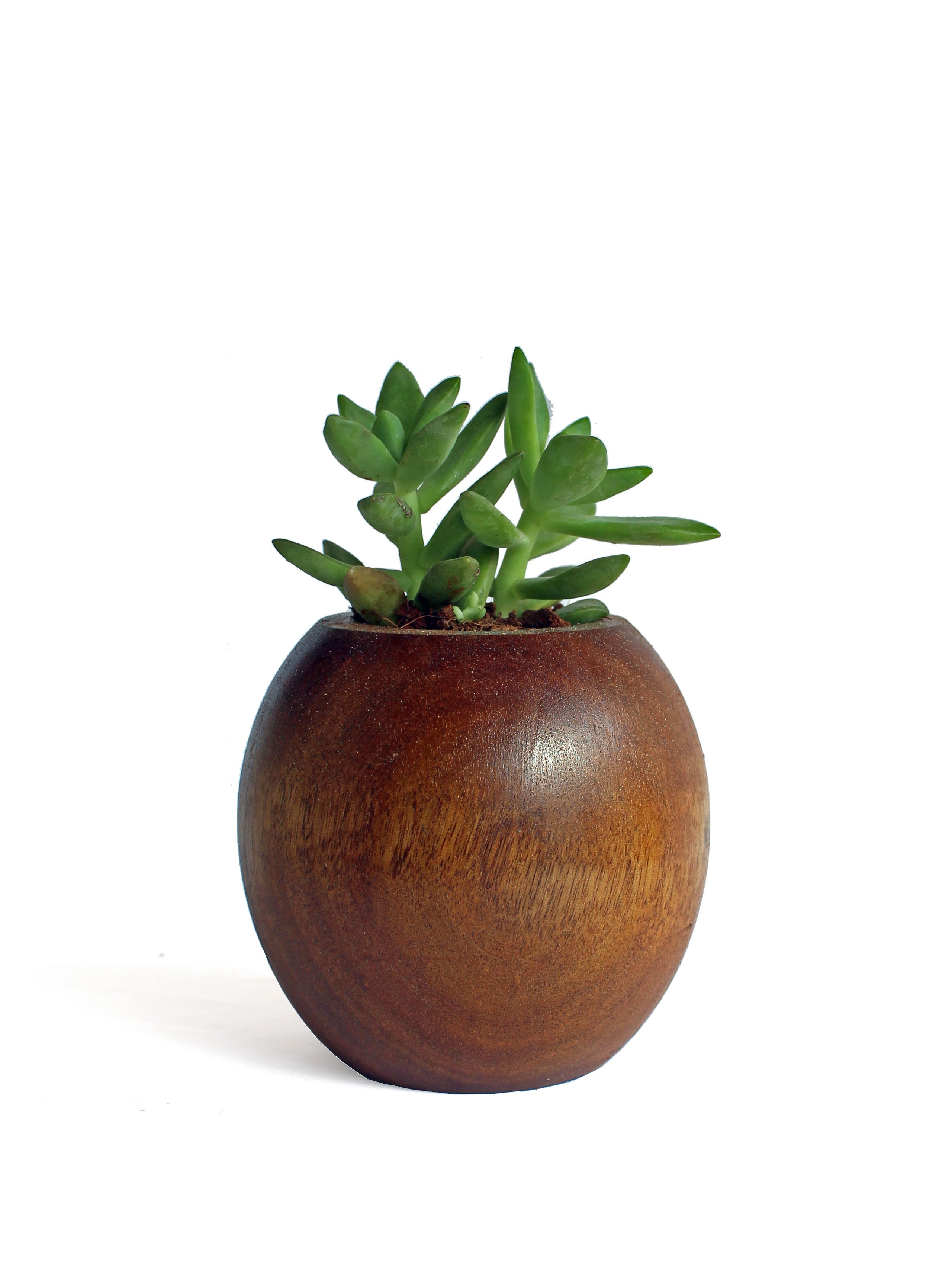 Spherical Planter - Studio Indigene