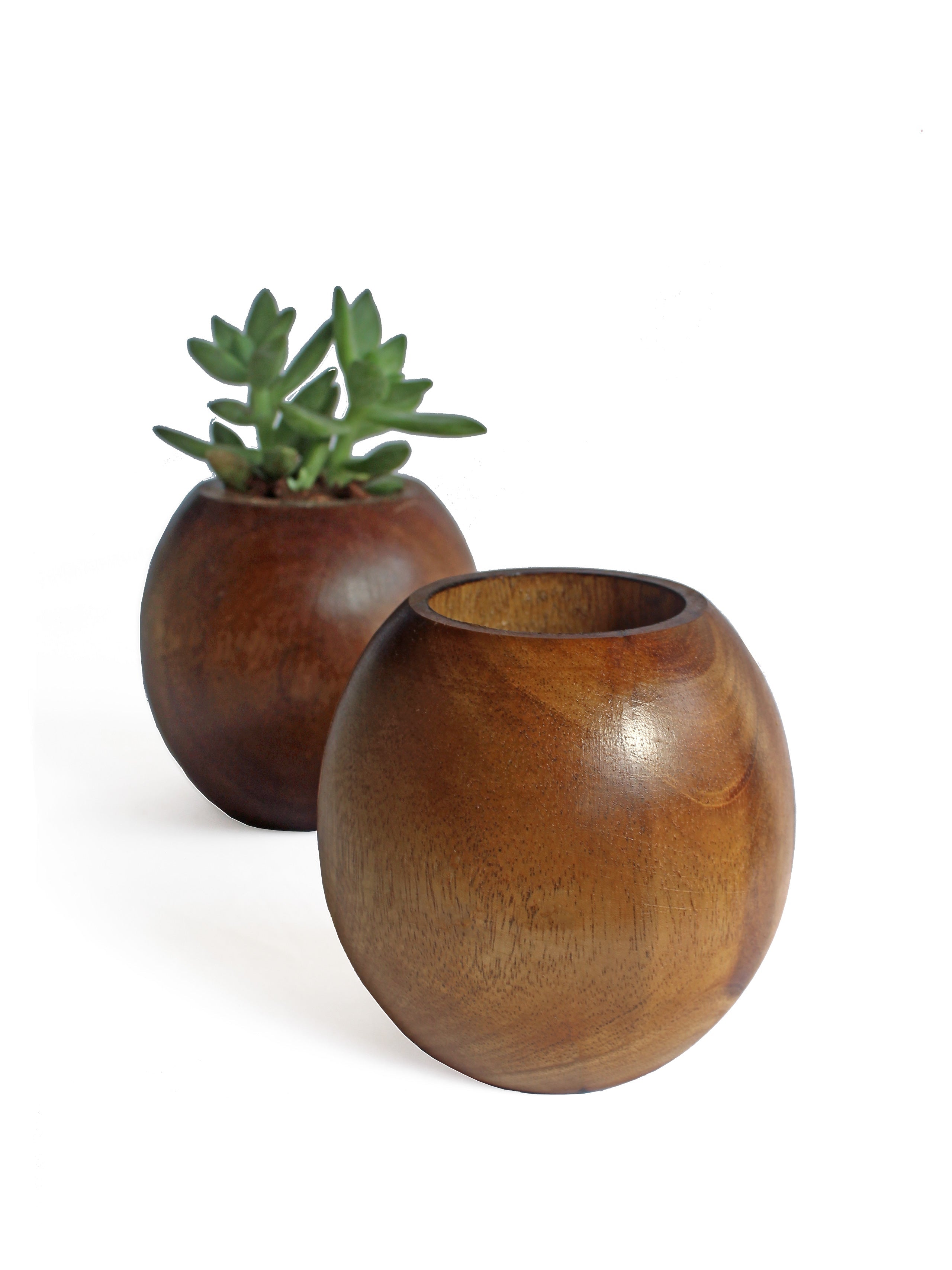 Spherical Planter - Studio Indigene