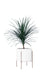 Whirlpool Planter With Metal Stands - Palasa