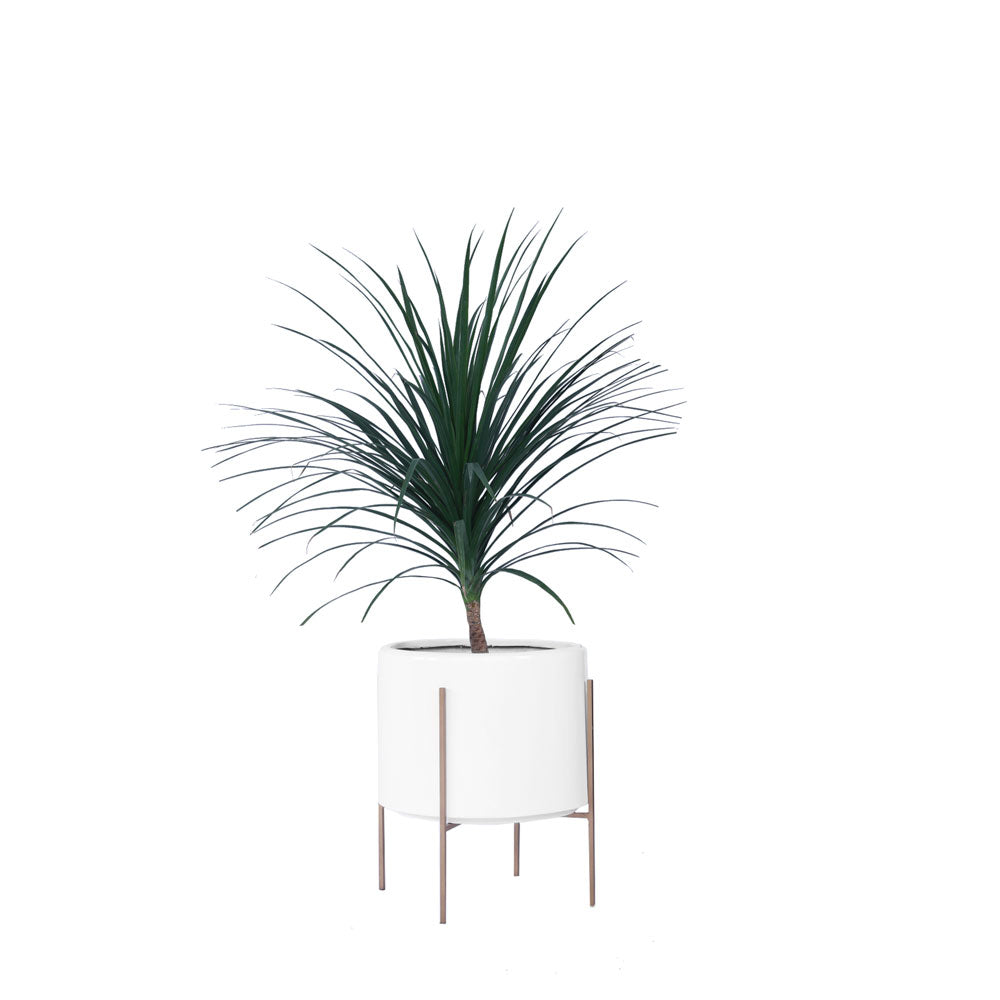 Whirlpool Planter With Metal Stands - Palasa
