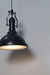 Flh109 Orchard Frosted Glass Black 13 Inch Pendant Ceiling Light
