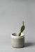 6" concrete cylinder planter in white gray
