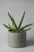 8" concrete cylinder planter in gray