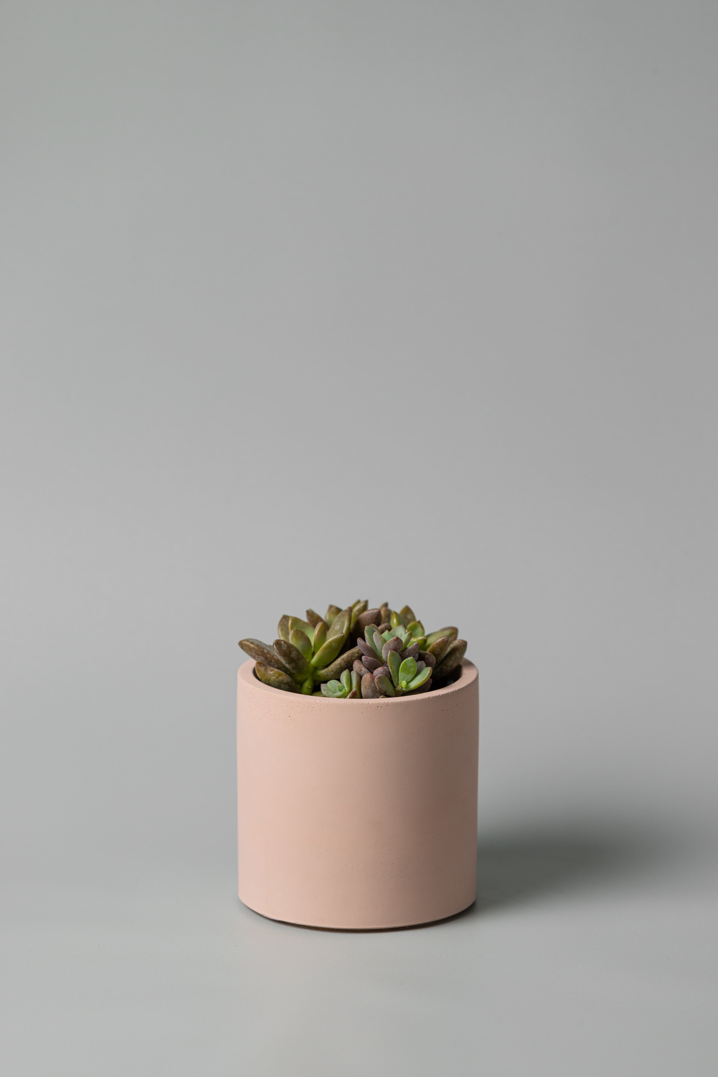 4" concrete cylinder planter in pink