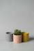 3" concrete cylinder planter in a  group