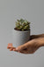 3" concrete cylinder planter in gray
