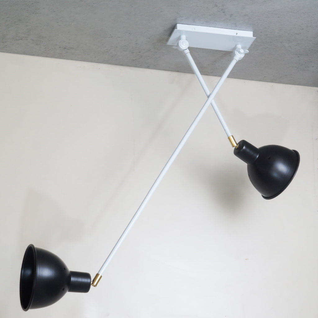 Flh103 Contemporary Scandi Two-Arm Ceiling Light Fixture